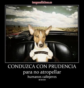 Psicólogos DF psicólogos Colonia del Valle psicólogos dependencia emocional terapia de pareja psicólogos México Psicólogos Benito Juárez