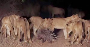 psicologo-por-que-pareja-no-me-escucha-2